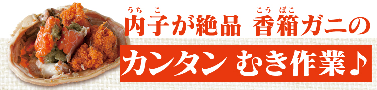 香箱ガニのカンタンむき作業