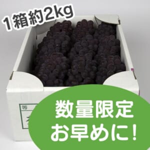 t-budo-dera