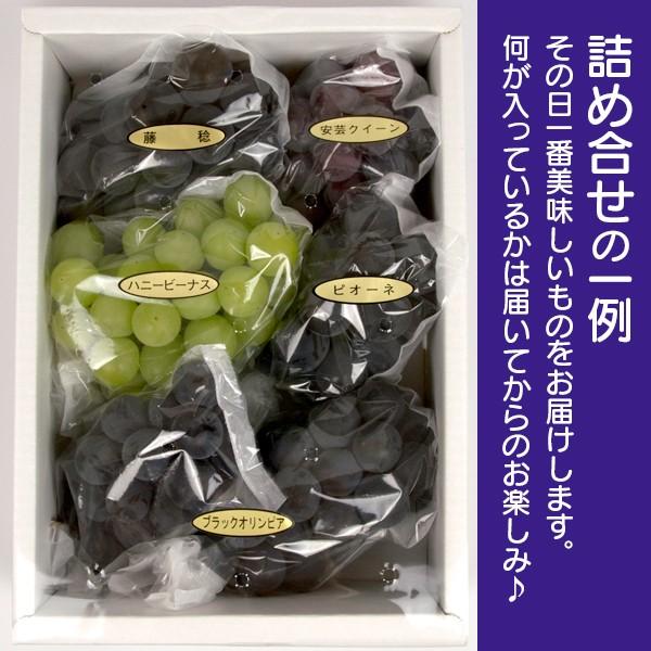 t-budo-otsubu2000